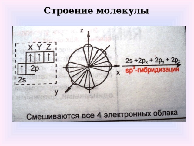 Строение молекулы
