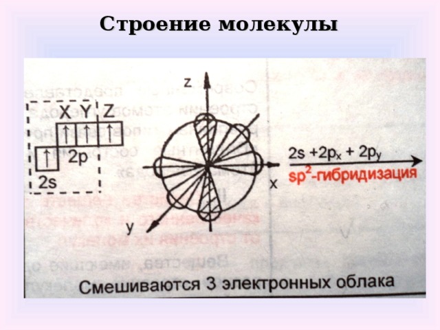 Строение молекулы