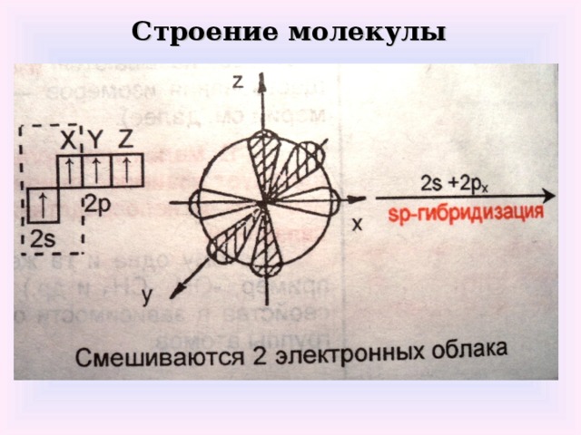 Строение молекулы