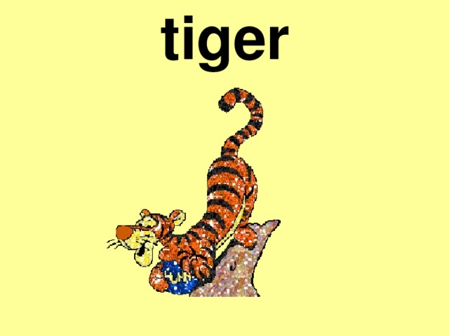 tiger