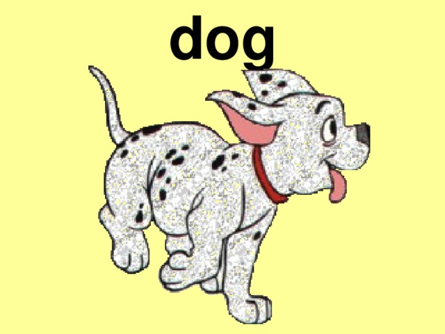 dog