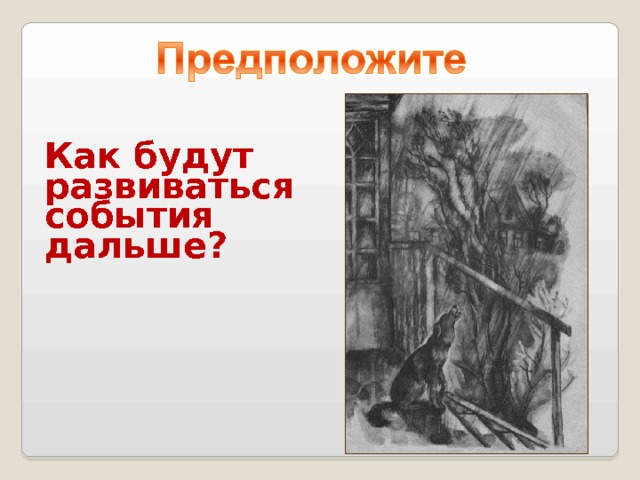 Восстанови последовательность событий в приведенном ниже плане рассказа л н андреева кусака
