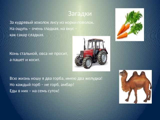 Загадки За кудрявый хохолок лису из норки поволок. На ощупь – очень гладкая, на вкус – как сахар сладкая. Конь стальной, овса не просит, а пашет и косит. Всю жизнь ношу я два горба, имею два желудка! Но каждый горб – не горб, амбар! Еды в них – на семь суток! 