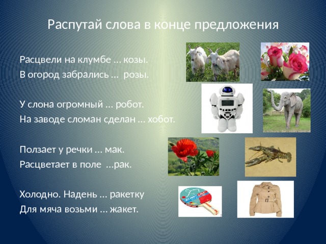 Распутай слова в конце предложения Расцвели на клумбе … козы. В огород забрались … розы. У слона огромный … робот. На заводе сломан сделан … хобот. Ползает у речки … мак. Расцветает в поле …рак. Холодно. Надень … ракетку Для мяча возьми … жакет. 