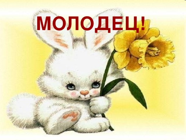   МОЛОДЕЦ! 