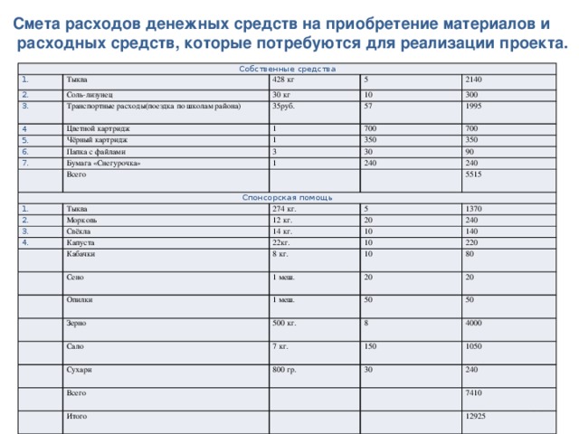 Смета реализации проекта