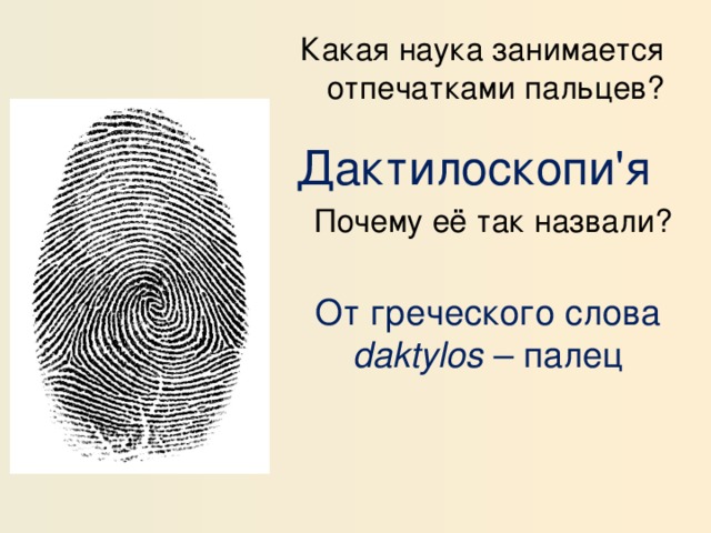 Какая наука занимается отпечатками пальцев? Дактилоскопи'я  Почему её так назвали? От греческого слова daktylos – палец 