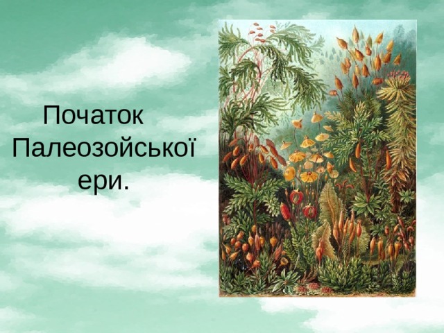 Початок  Палеозойської ери. 