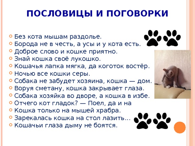 Пословица про кошку