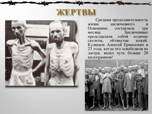  Средняя продолжительность жизни заключенного в Освенциме составляла три месяца. Заключенные представляли собой ходячие скелеты, обтянутые кожей. Кузнецов Алексей Ермилович в 23 года, когда его освободили из лагеря, весил чуть больше 20 килограммов! 