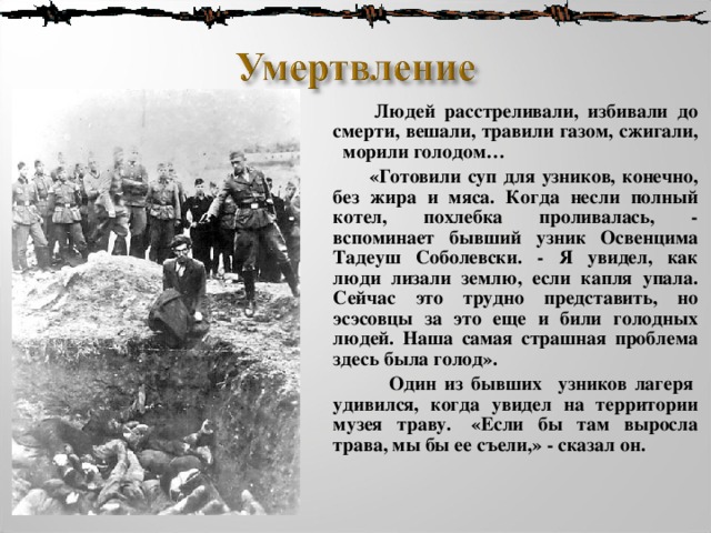  Людей расстреливали, избивали до смерти, вешали, травили газом, сжигали, морили голодом…  «Готовили суп для узников, конечно, без жира и мяса. Когда несли полный котел, похлебка проливалась, - вспоминает бывший узник Освенцима Тадеуш Соболевски. - Я увидел, как люди лизали землю, если капля упала. Сейчас это трудно представить, но эсэсовцы за это еще и били голодных людей. Наша самая страшная проблема здесь была голод».  Один из бывших  узников лагеря  удивился, когда увидел на территории музея траву.  «Если бы там выросла трава, мы бы ее съели,» - сказал он. 