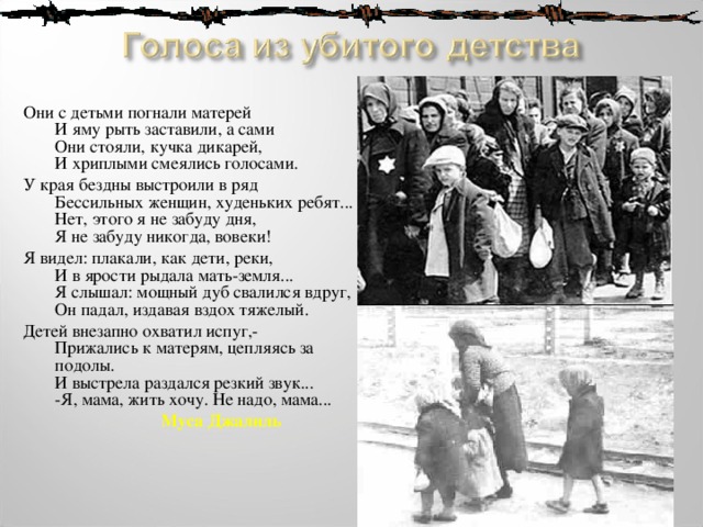 Они с детьми погнали матерей  И яму рыть заставили, а сами  Они стояли, кучка дикарей,  И хриплыми смеялись голосами. У края бездны выстроили в ряд  Бессильных женщин, худеньких ребят...  Нет, этого я не забуду дня,  Я не забуду никогда, вовеки! Я видел: плакали, как дети, реки,  И в ярости рыдала мать-земля...  Я слышал: мощный дуб свалился вдруг,  Он падал, издавая вздох тяжелый. Детей внезапно охватил испуг,-  Прижались к матерям, цепляясь за подолы.  И выстрела раздался резкий звук...  -Я, мама, жить хочу. Не надо, мама...  Муса Джалиль 