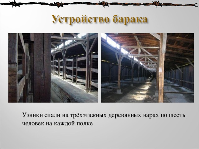  Узники спали на трёхэтажных деревянных нарах по шесть человек на каждой полке 