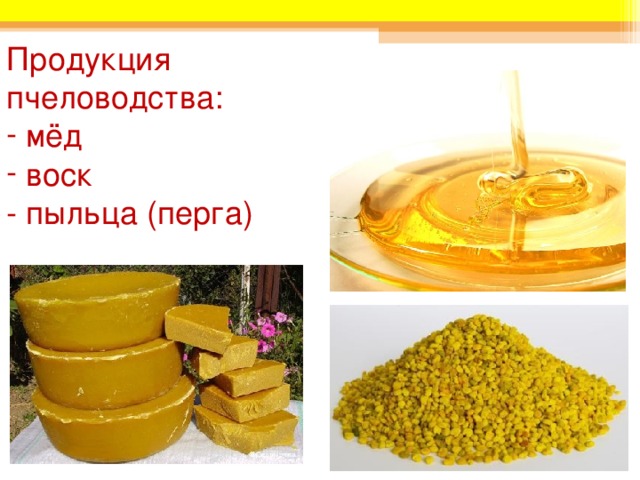 Продукция пчеловодства:  мёд  воск - пыльца (перга) 