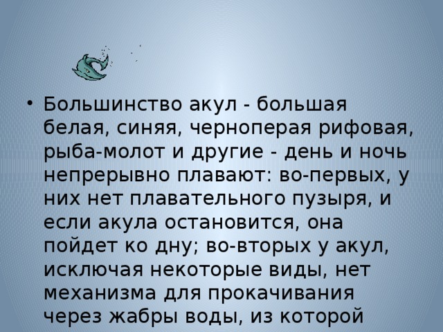 Большинство акул - большая белая, синяя, черноперая рифовая, рыба-молот и другие - день и ночь непрерывно плавают: во-первых, у них нет плавательного пузыря, и если акула остановится, она пойдет ко дну; во-вторых у акул, исключая некоторые виды, нет механизма для прокачивания через жабры воды, из которой кровь получает кислород. 