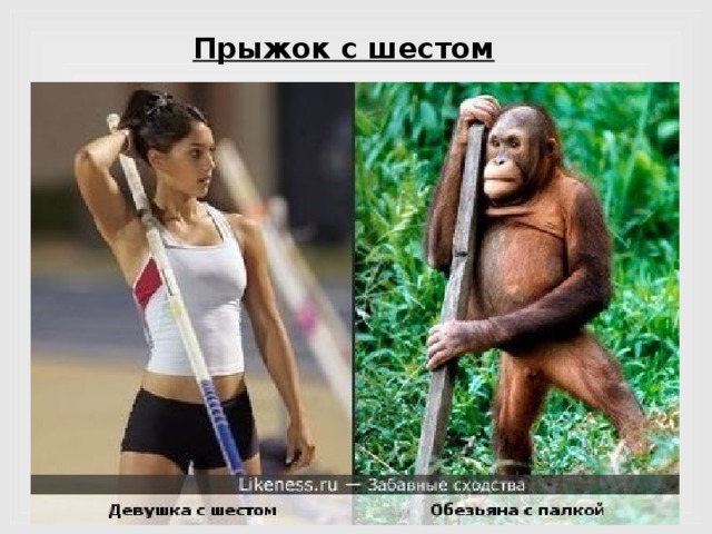Что Такое Кинуть Палку Девушке