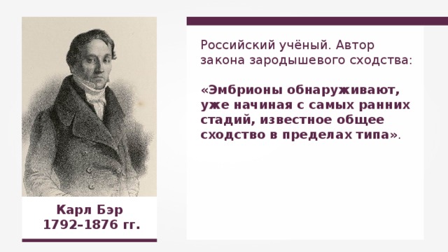 Российский учёный. Автор закона зародышевого сходства:  «Эмбрионы обнаруживают, уже начиная с самых ранних стадий, известное общее сходство в пределах типа» . Карл Бэр 1792 – 1876 гг. 