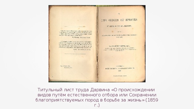 Титульный лист труда Дарвина «О происхождении видов путём естественного отбора или Сохранении благоприятствуемых пород в борьбе за жизнь» (1859 г.) 
