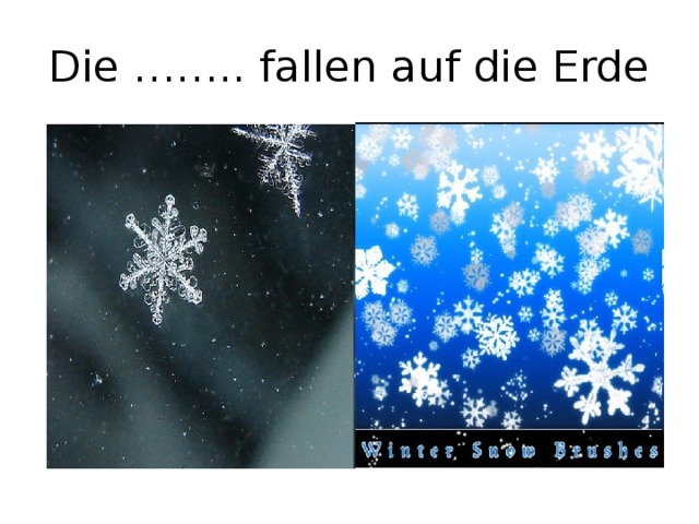 Die …….. fallen auf die Erde