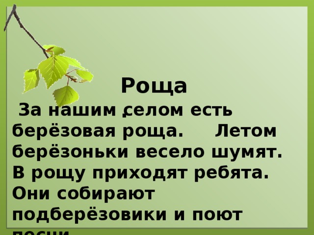 Роща.  За нашим селом есть берёзовая роща. Летом берёзоньки весело шумят. В рощу приходят ребята. Они собирают подберёзовики и поют песни.