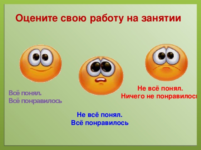 Оцените свою работу на занятии Не всё понял. Ничего не понравилось Всё понял. Всё понравилось Не всё понял. Всё понравилось