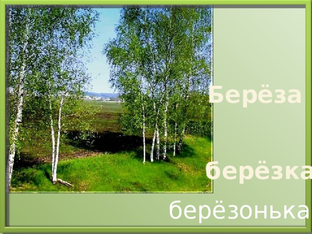 Берёза берёзка берёзонька