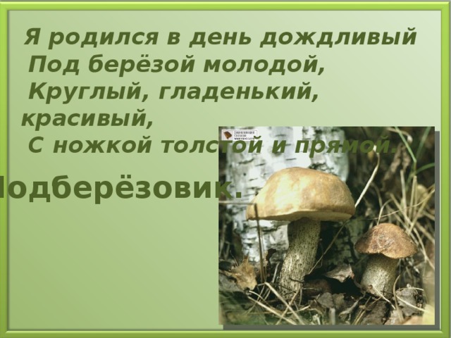 Я родился в день дождливый  Под берёзой молодой,  Круглый, гладенький, красивый,  С ножкой толстой и прямой. Подберёзовик.