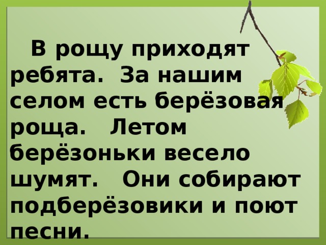 В рощу приходят ребята. За нашим селом есть берёзовая роща. Летом берёзоньки весело шумят. Они собирают подберёзовики и поют песни.