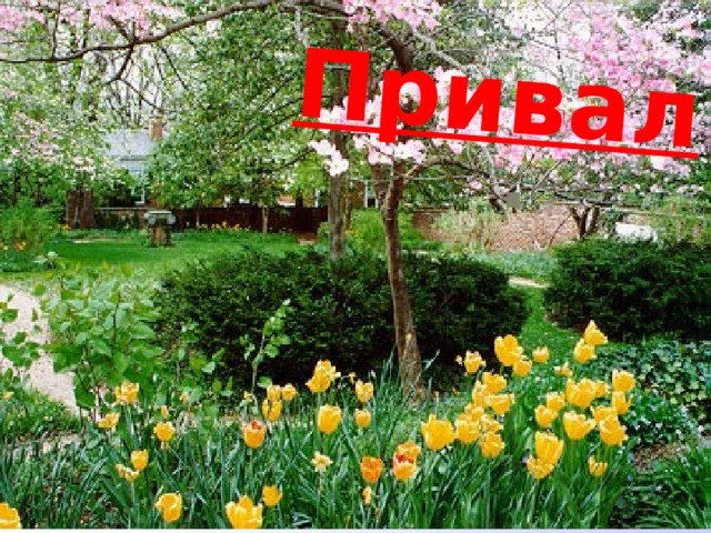 Привал 