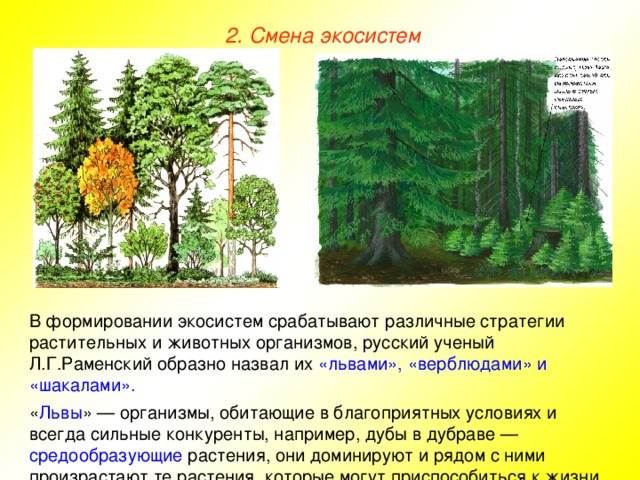 2 объясните причины смены экосистем изображенных на рисунке от а б в г 2