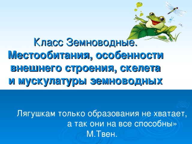 Класс Земноводные.  Местообитания, особенности внешнего строения, скелета и мускулатуры земноводных Лягушкам только образования не хватает,  а так они на все способны»   М.Твен. 