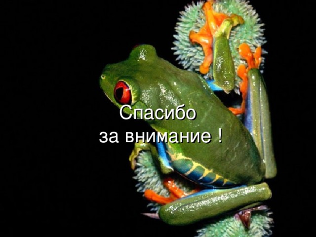 Спасибо  за внимание ! 