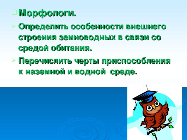 Морфологи. Определить особенности внешнего строения земноводных в связи со средой обитания. Перечислить черты приспособления к наземной и водной среде.  