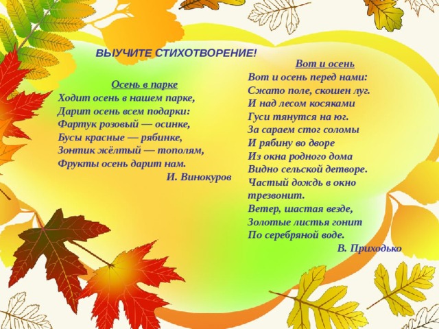 ВЫУЧИТЕ СТИХОТВОРЕНИЕ! Вот и осень Вот и осень перед нами:  Сжато поле, скошен луг.  И над лесом косяками  Гуси тянутся на юг.  За сараем стог соломы  И рябину во дворе  Из окна родного дома  Видно сельской детворе.  Частый дождь в окно трезвонит.  Ветер, шастая везде,  Золотые листья гонит  По серебряной воде. В. Приходько Осень в парке Ходит осень в нашем парке,  Дарит осень всем подарки:  Фартук розовый — осинке,  Бусы красные — рябинке,  Зонтик жёлтый — тополям,  Фрукты осень дарит нам. И. Винокуров 