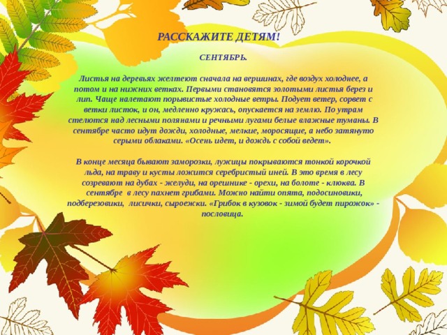РАССКАЖИТЕ ДЕТЯМ!  СЕНТЯБРЬ.  Листья на деревьях желтеют сначала на вершинах, где воздух холоднее, а потом и на нижних ветках. Первыми становятся золотыми листья берез и  лип. Чаще налетают порывистые холодные ветры. Подует ветер, сорвет с ветки листок, и он, медленно кружась, опускается на землю. По утрам стелются над лесными полянами и речными лугами белые влажные туманы. В сентябре часто идут дожди, холодные, мелкие, моросящие, а небо затянуто серыми облаками. «Осень идет, и дождь с собой ведет».  В конце месяца бывают заморозки, лужицы покрываются тонкой корочкой льда, на траву и кусты ложится серебристый иней. В это время в лесу созревают на дубах - желуди, на орешнике - орехи, на болоте - клюква. В  сентябре  в лесу пахнет грибами. Можно найти опята, подосиновики, подберезовики,  лисички, сыроежки. «Грибок в кузовок - зимой будет пирожок» - пословица.   