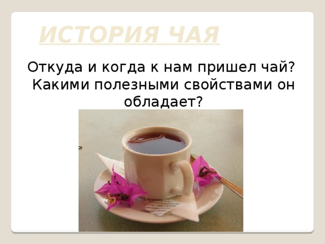 ИСТОРИЯ ЧАЯ Откуда и когда к нам пришел чай? Какими полезными свойствами он обладает? 