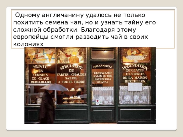  Одному англичанину удалось не только похитить семена чая, но и узнать тайну его сложной обработки. Благодаря этому европейцы смогли разводить чай в своих колониях 