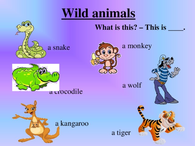 What can animals do план урока 2 класс