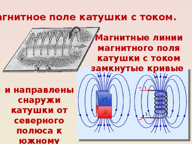 На рисунке указаны магнитные линии прямого тока