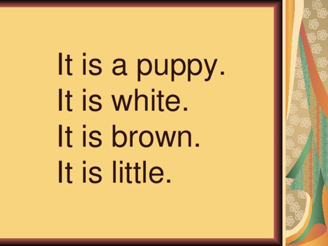 It is a puppy. It is white. It is brown. It is little. 