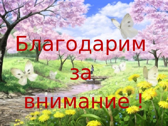 Благодарим за внимание ! 