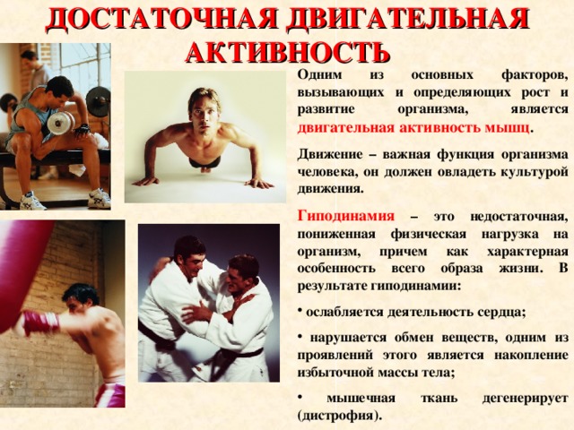 Двигательная активность в жизни человека проект Основы здорового образа жизни