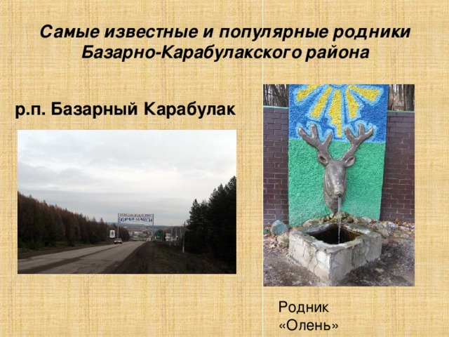 Самые известные и популярные родники Базарно-Карабулакского района р.п. Базарный Карабулак Родник «Олень» 