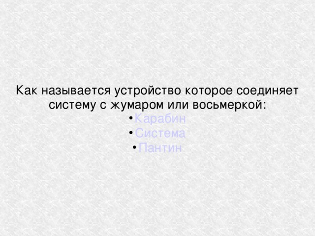 Как называется устройство которое соединяет систему с жумаром или восьмеркой: Карабин Система Пантин 