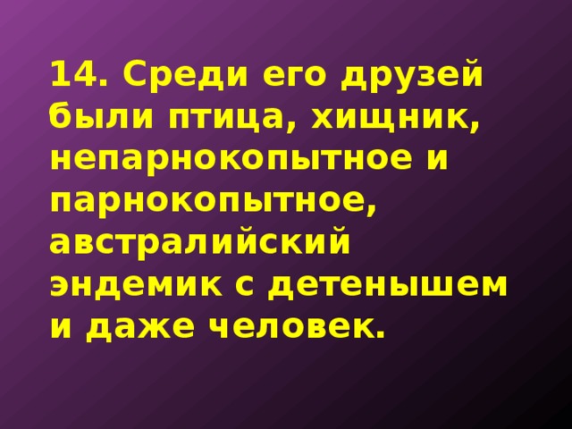 14. Среди его друзей были птица, хищник, непарнокопытное и парнокопытное, австралийский эндемик с детенышем и даже человек. 