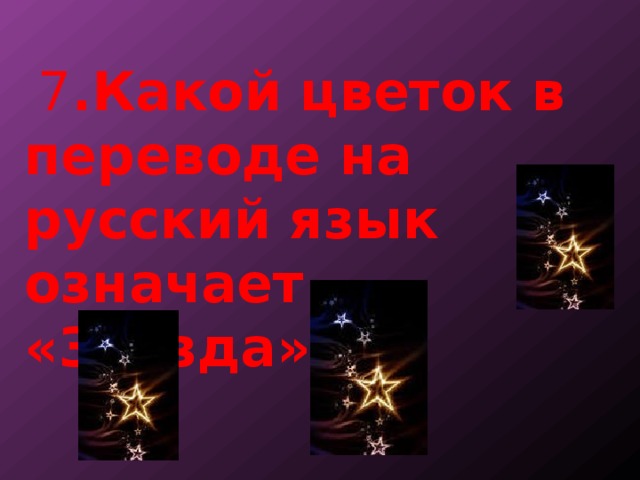  7 .Какой цветок в переводе на русский язык означает «Звезда»? 