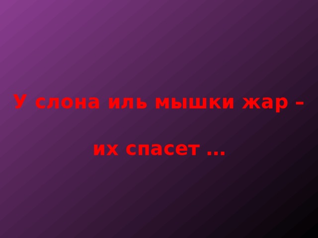 У слона иль мышки жар –   их спасет … 