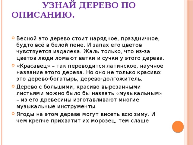  узнай дерево по описанию.   Весной это дерево стоит нарядное, праздничное, будто всё в белой пене. И запах его цветов чувствуется издалека. Жаль только, что из-за цветов люди ломают ветки и сучки у этого дерева. «Красавец» – так переводится латинское, научное название этого дерева. Но оно не только красиво: это дерево-богатырь, дерево-долгожитель. Дерево с большими, красиво вырезанными листьями можно было бы назвать «музыкальным» – из его древесины изготавливают многие музыкальные инструменты. Ягоды на этом дереве могут висеть всю зиму. И чем крепче прихватит их морозец, тем слаще 