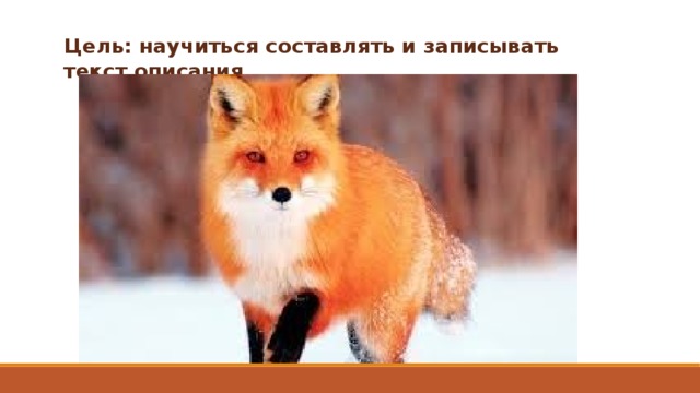 Цель: научиться составлять и записывать текст описания. 