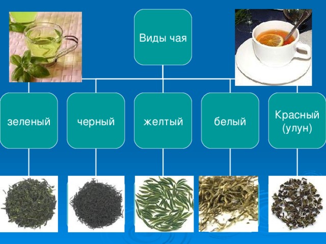 Виды чая Красный (улун) белый желтый черный зеленый 